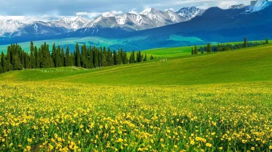 我三本毕业后到新疆当了老师，娶了维族同事当老婆，感觉像做梦