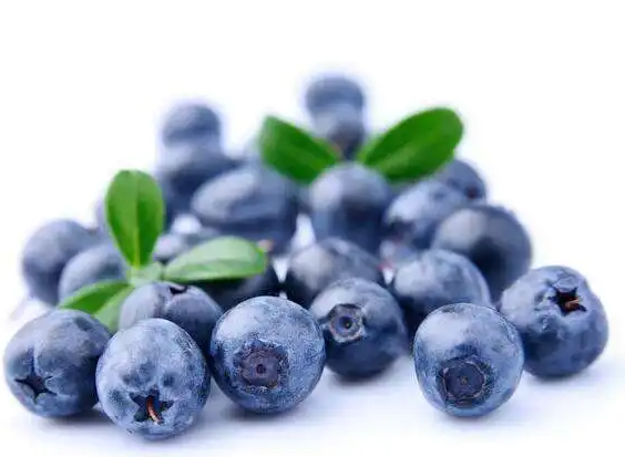 蓝莓提取物营养片-草本护眼，明亮双眸