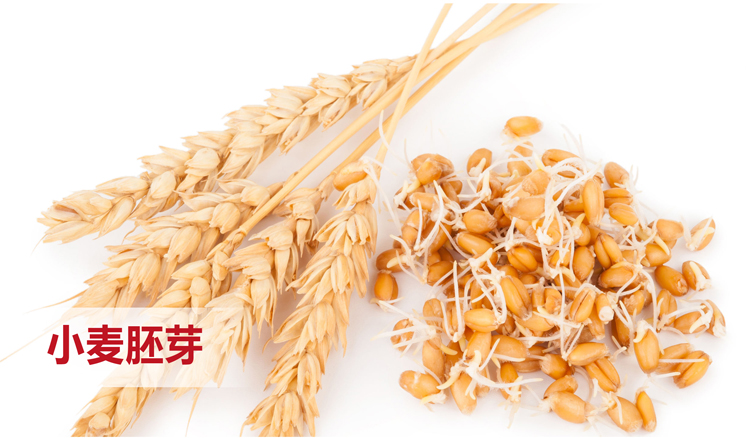 小麦胚芽提取物软胶囊：天然维生素E的卓越之选