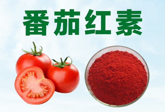番茄红素-强大的抗氧化功效 有效提高免疫力