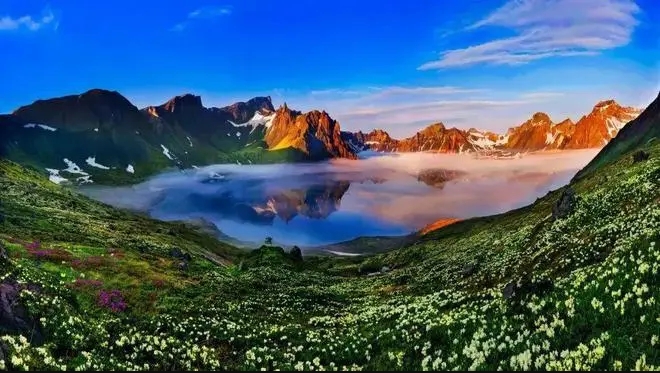 长白山红参：温补养生的智慧之选