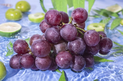 image 葡萄
