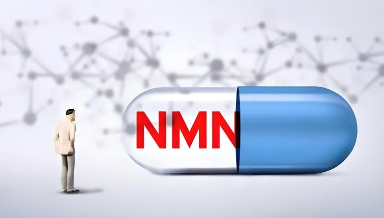 NMN的未来前景：科学家预测其潜力与价值