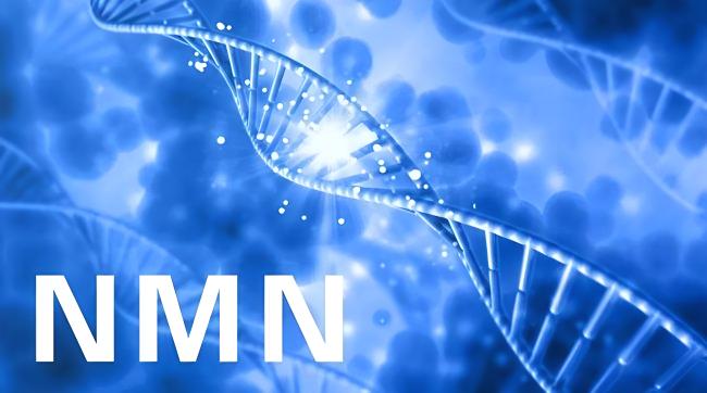 NMN在哪里买最可靠？避免假货的购买技巧