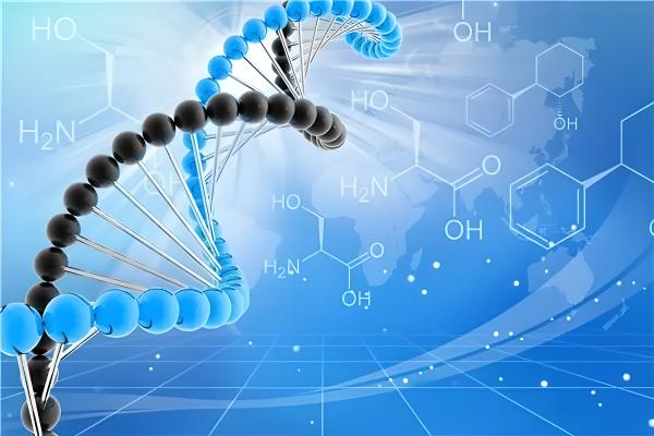 NMN最佳服用时间：充分发挥其效果的秘密