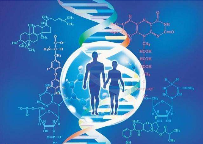 NMN是骗局还是真的有效？吃了到底有没有用？