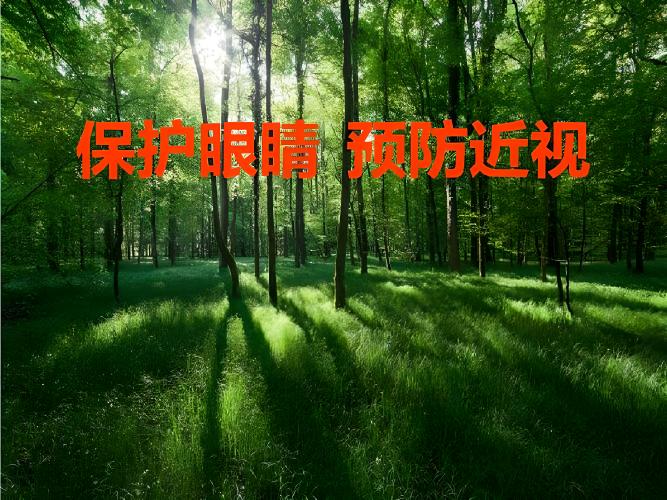 叶黄素与眼部疲劳：缓解长时间使用电子设备的不适