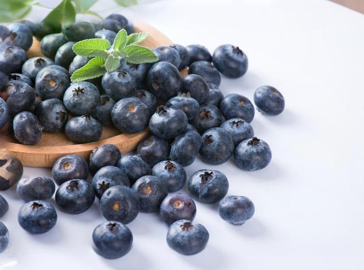 科学家揭示：蓝莓如何帮助预防近视