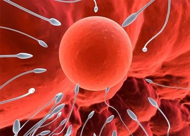 保健品对不孕不育有没有用？