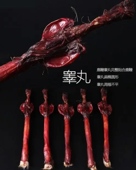 雄性激素助推器：勃力健雄胜因子素鹿鞭丸，补肾固阳首选