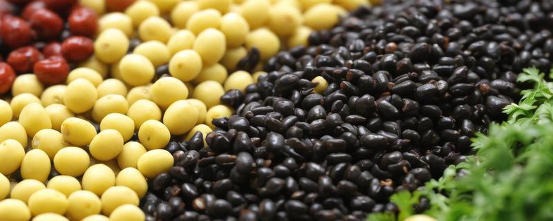 矿物质保健品的使用注意事项