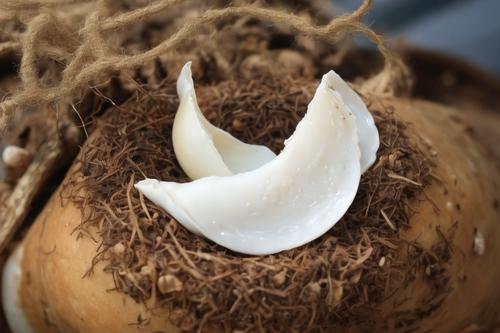 燕窝与美容养颜：科学解析燕窝对皮肤的好处