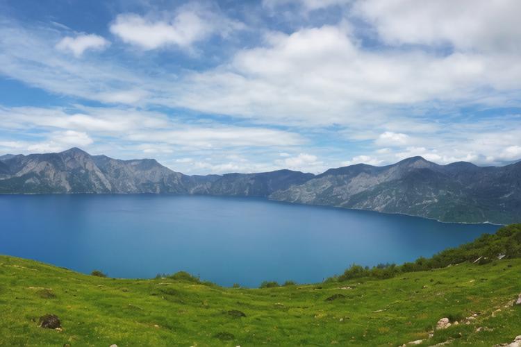 长白山红参：来自东北的瑰宝，让你体验不一样的参味